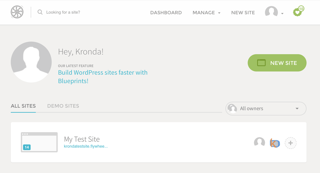 Flywheel hosting dashboard